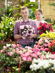 Fototapeta premium Couple of young guy and young woman buyers choose azalea in pot in flower shop