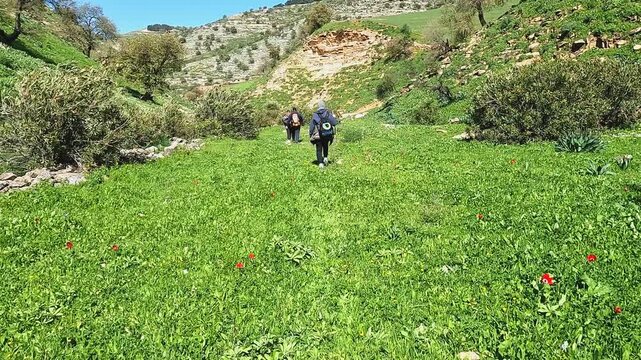 Irbid, Jordan : A group of athletes hiking between mountains and plants to reach the Al-Arais pond, near the Jordanian border