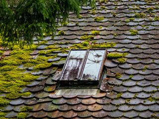 Stark bemoostes Dach mit Dachluke