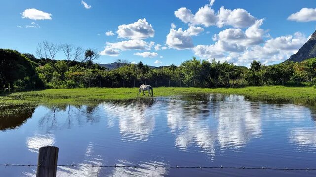 The wild horse was drinking water in the lake located in Serra do Cip&oacute; - MG, with a bucolic landscape in the background featuring a blue sky and white clouds.