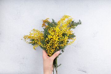 A delicate bouquet of yellow mimosa flowers with green leaves held in one hand against a neutral backdrop, evoking springtime joy and celebration, ideal for greeting cards and invitations