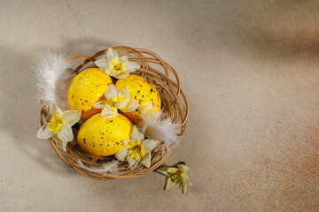Flat lay of yellow Easter eggs with gold foil, white feathers and daffodils in a wicker basket on neutral background