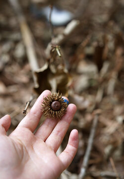 Closeup of a hand touching plants in an autumn forest