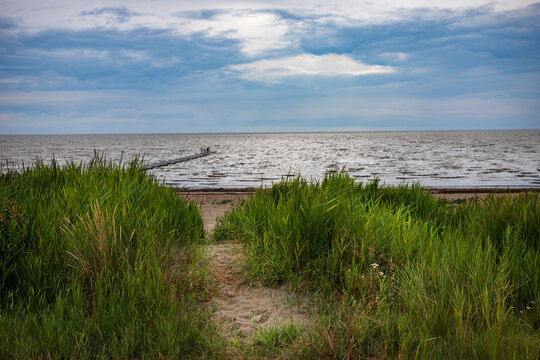 Wadden Sea UNESCO World Heritage coast near Harlingen, Netherlands, view through dune grass to tidal shoreline and sea under dramatic cloudy sky.
