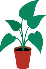 Philodendron Birkin Potted Tropical Green Leaf Illustration © shahadat