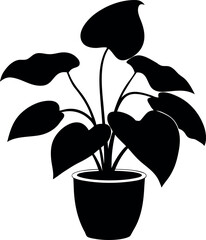 Philodendron Birkin Potted Tropical Leaf Silhouette Illustration © shahadat