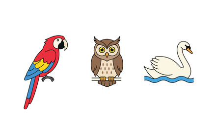 A red macaw, a brown owl perched on a branch, and a white swan swimming in blue water are illustrated on a white background.