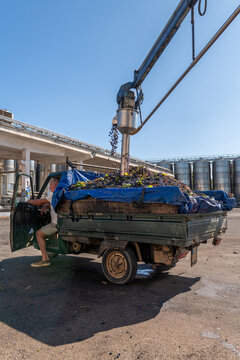 Machine measures the sugar content of grapes from the back of a truck 