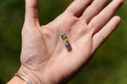 Hand Holding Capsule With Dried Flowers