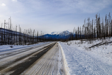 Obraz premium A view from Maligne lake road in February 2026