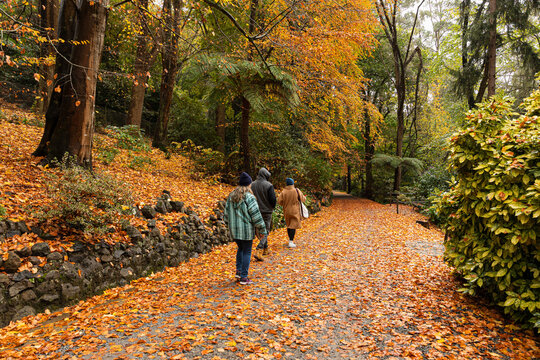 Walkers Enjoying an Autumn Day on Leafy Path in an Australian park