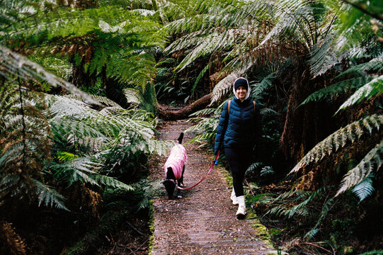 Film photo of Woman Walking Dog in Lush Forest Path
