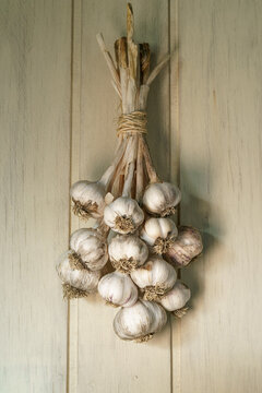 a tied bunch of garlic bulbs hanging on a cream wooden boarded wall