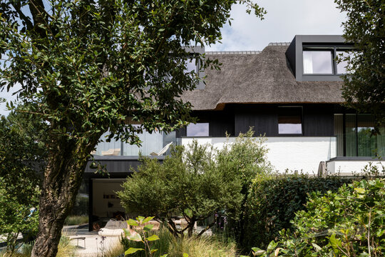villa with thatched roof