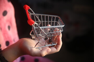empty shopping cart in hands