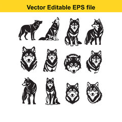 Fototapeta premium Husky Dog Vector Illustrations Set on White Background