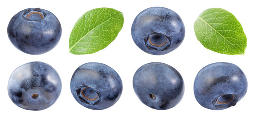 Fresh blueberries and green leaves isolated on white, set
