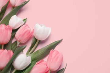 Obraz premium Beautiful tulips on pink background, top view. Space for text