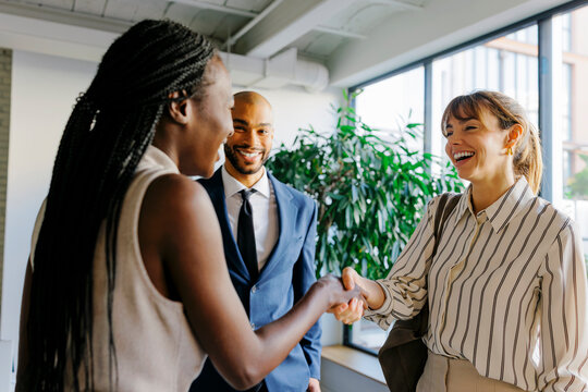Business professionals shaking hands concluding agreement at office