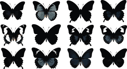 Collection of black butterfly silhouettes and detailed wings isolated on light background, elegant insect vector set for nature design, tattoo and decoration © Shariyar Pantho