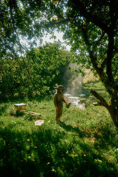 Beekeeper in field Using Smoke