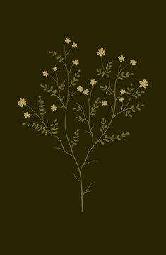 Flowers on a dark background
