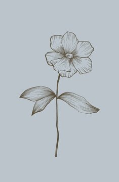 Sketch of a flower on a blue background