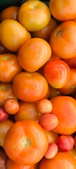 The variety of ripe . They are a good source of antioxidants like lycopene