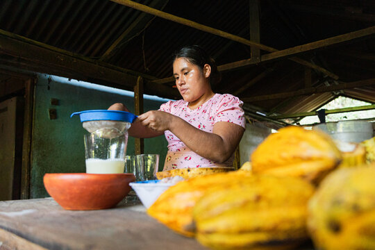 Woman straining liquid with cacao prominence
