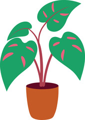 Pink Princess Philodendron Potted Tropical Variegated Leaf Illustration © shahadat