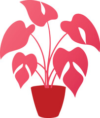 Pink Princess Philodendron Potted Tropical plant Color Illustration © shahadat