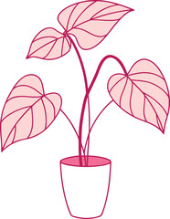 Pink Princess Philodendron Potted Heart plant Line Art Illustration © shahadat