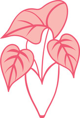 Pink Princess Philodendron Tropical plant Graphic Illustration © shahadat