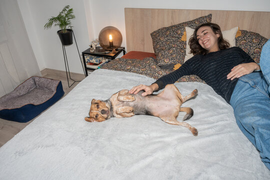 Person Relaxes on Bed With Playful Dog in Cozy Bedroom Setting