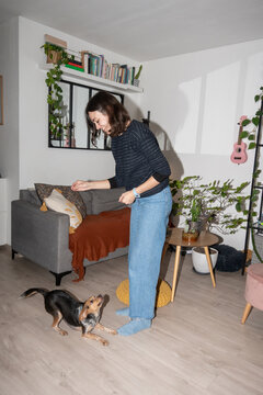 Dog Training Session in a Cozy Living Room During Daytime