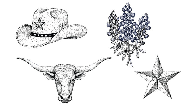Texas symbols: cowboy hat, longhorn steer, bluebonnets, and lone star illustration