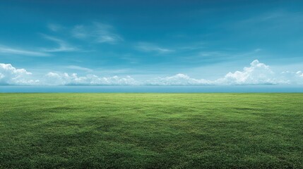 Obraz premium Expansive Green Grassland Under Clear Blue Sky with Fluffy White Clouds Stretching to Horizon in Bright Daylight