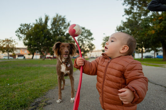 Baby playing with dog in park