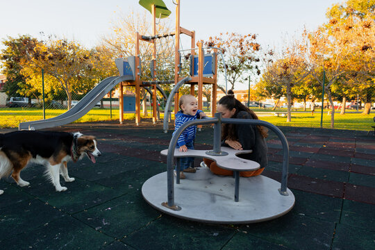 Mother, toddler, and dog playing on playground 