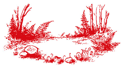 Natural landscape sketch of a forest floor with wild mushrooms and ferns in the woods © Tomas