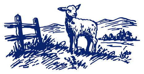 Classic blue ink drawing of a young lamb standing in a countryside field by a wooden fence © Tomas