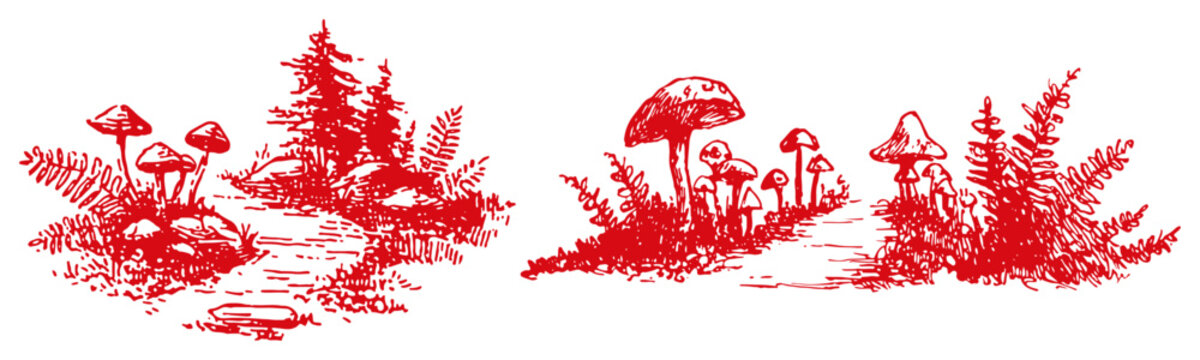 Detailed red ink sketches of a forest floor with wild mushrooms ferns and pine trees