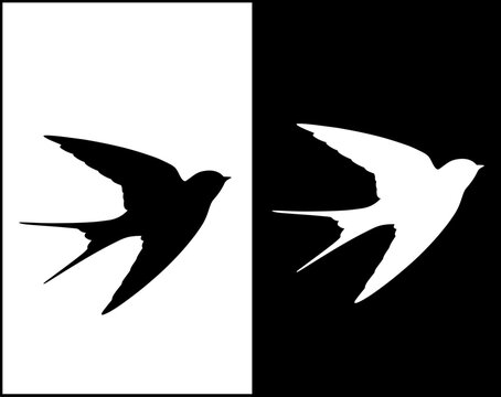 Livestock icon, vector illustration of a swallow, with silhouette design, in original and negative versions
