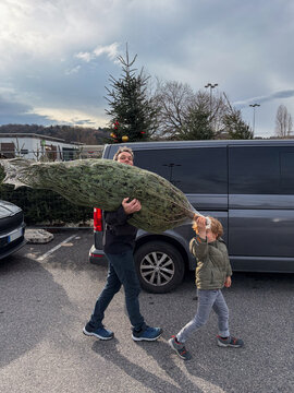 buy Christmas tree, father and son carriyng xmas tree on parking lot