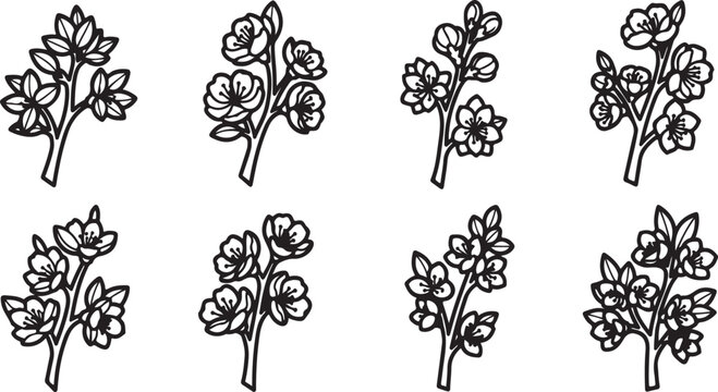 Assorted botanical illustrations showcasing various plant species and their unique characteristics Vector