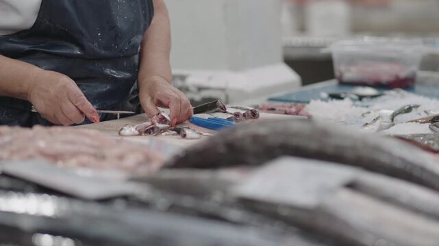 Discover the buzzing environment of fish market where fresh catches are prepared skillfully, showcasing the daily activities of fishmongers.