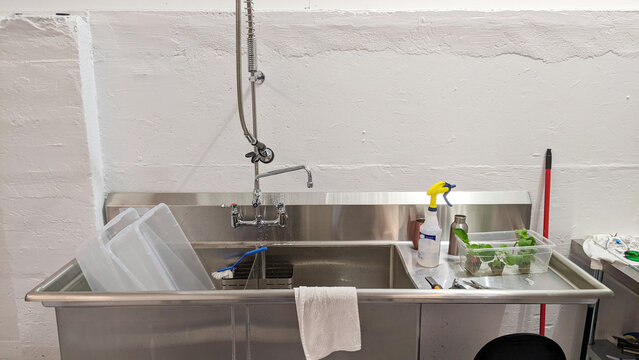 Scissors and tools used to prepare hydroponically grown radishes