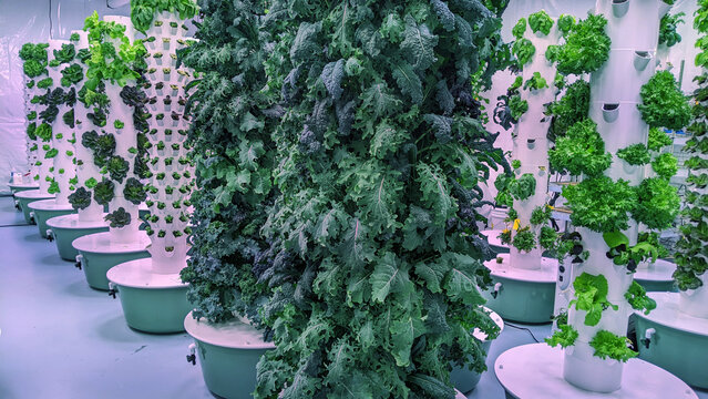 Indoor vertical hydroponic garden tower