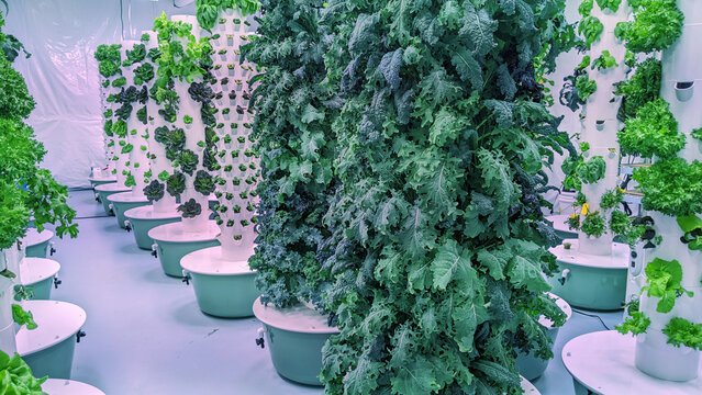 Indoor vertical hydroponic garden tower