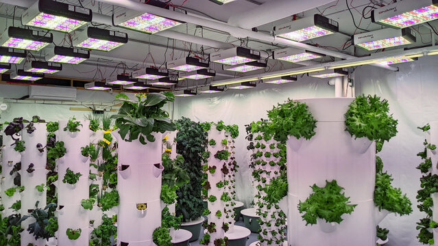 Indoor vertical hydroponic garden tower
